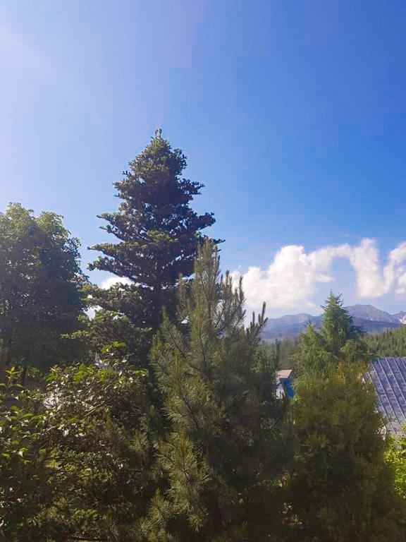 Pokoje Gosinne U Ani I Andrzeja Ciche Małe Exteriör bild